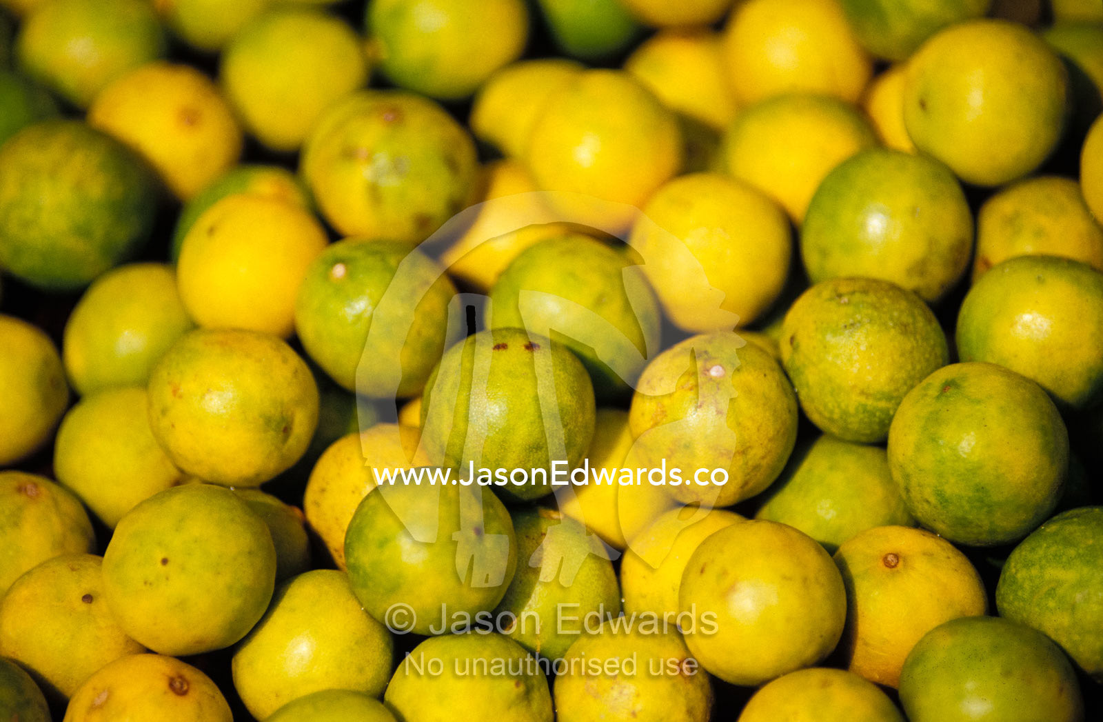 An enticing display of lemons at a fruit market in the Old City. Varanassi, India.