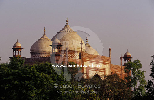 The domes of the Taj Mahal Mosque rise above the garden canopy. Agra, India.