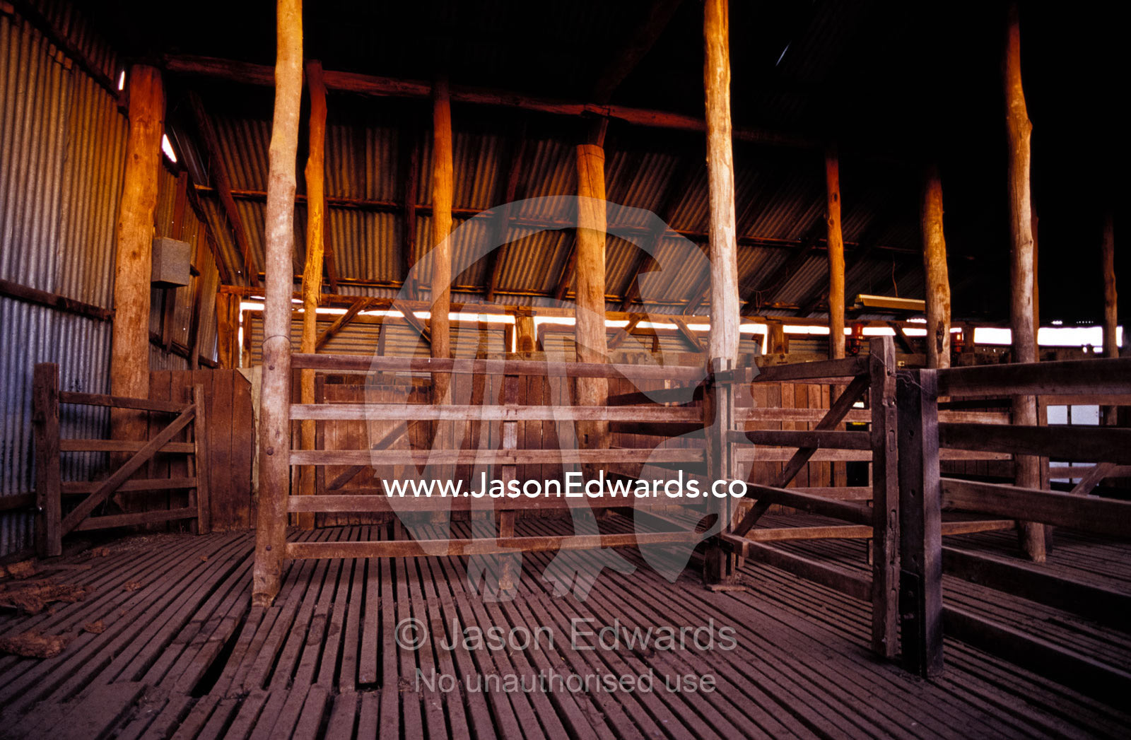 An outback timber sheep Shearing Shed  with corrals at sunset. Near Tarcutta, New South Wales, Australia.