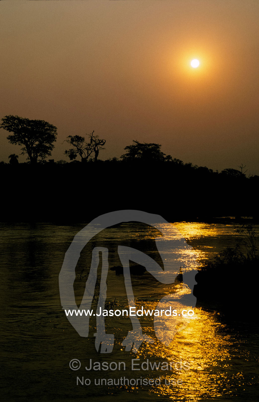 The tranquil waters of the Iguazu River flow through the rainforest. Rio Iguazu, Brazil Argentina border.