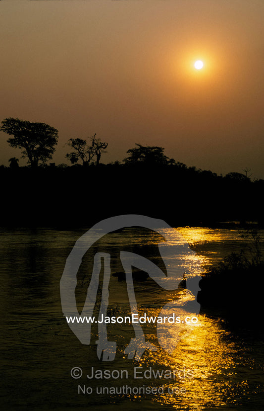 The tranquil waters of the Iguazu River flow through the rainforest. Rio Iguazu, Brazil Argentina border.