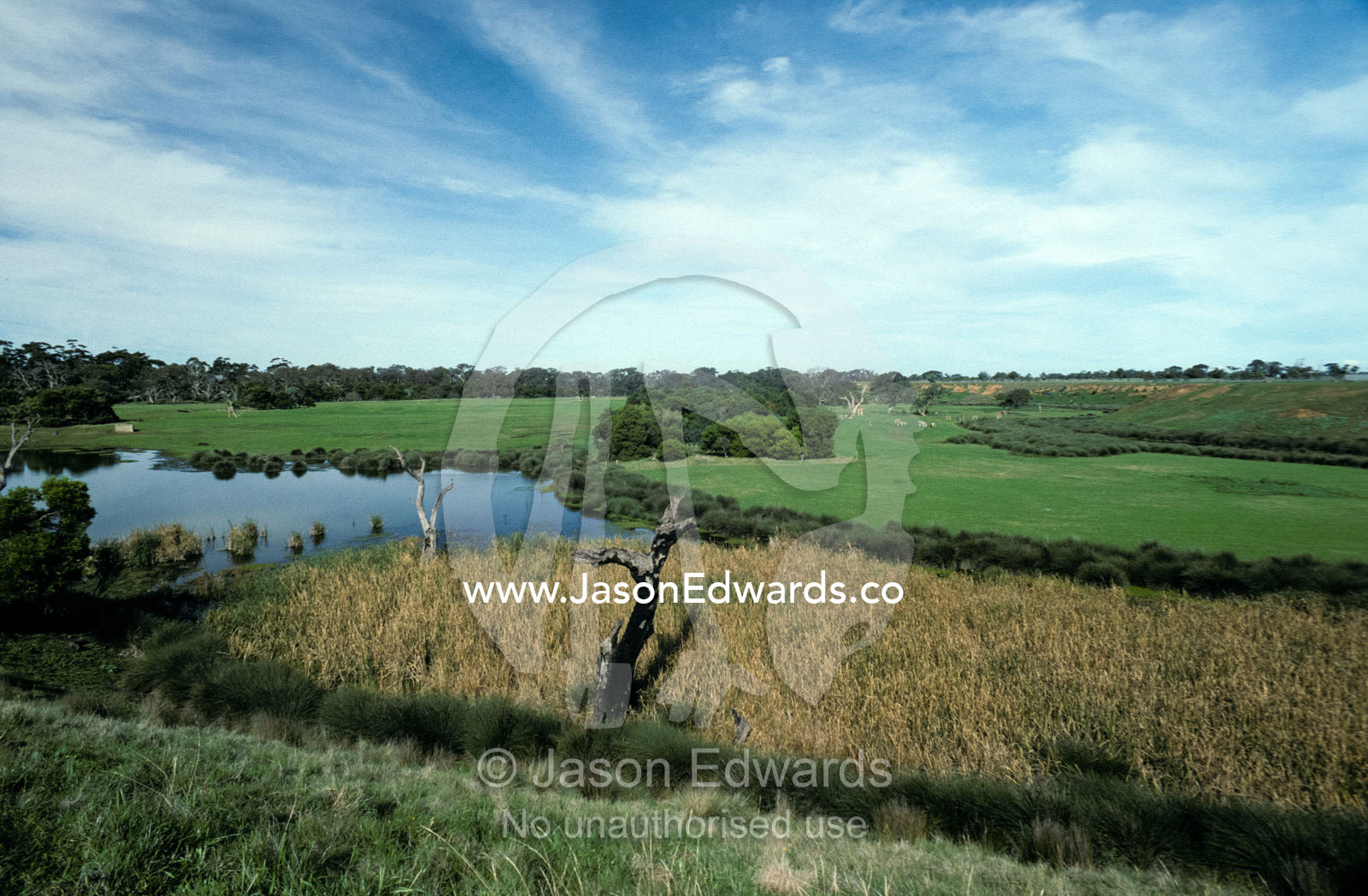 An vast grassland savannah Exhibit for Zebra, Giraffe and Rhinocerous. Werribee Zoo, Victoria, Australia.