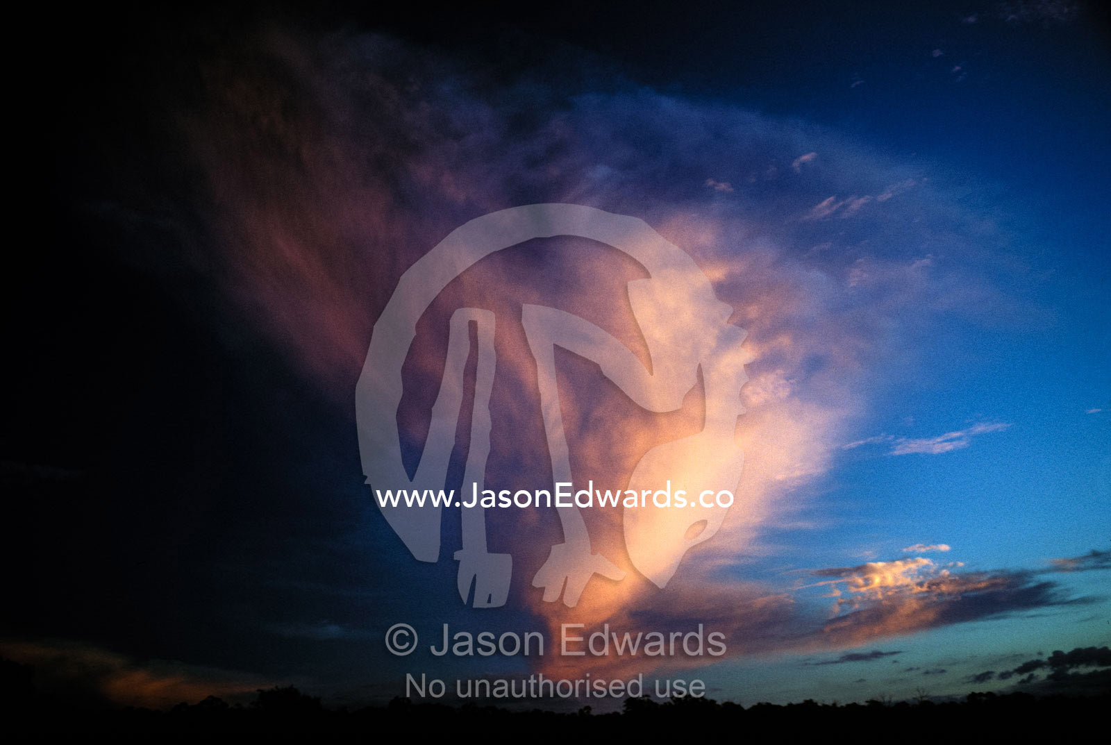 The rising sun reflects pink onto an unusual cloud formation. Nambung National Park, Western Australia.