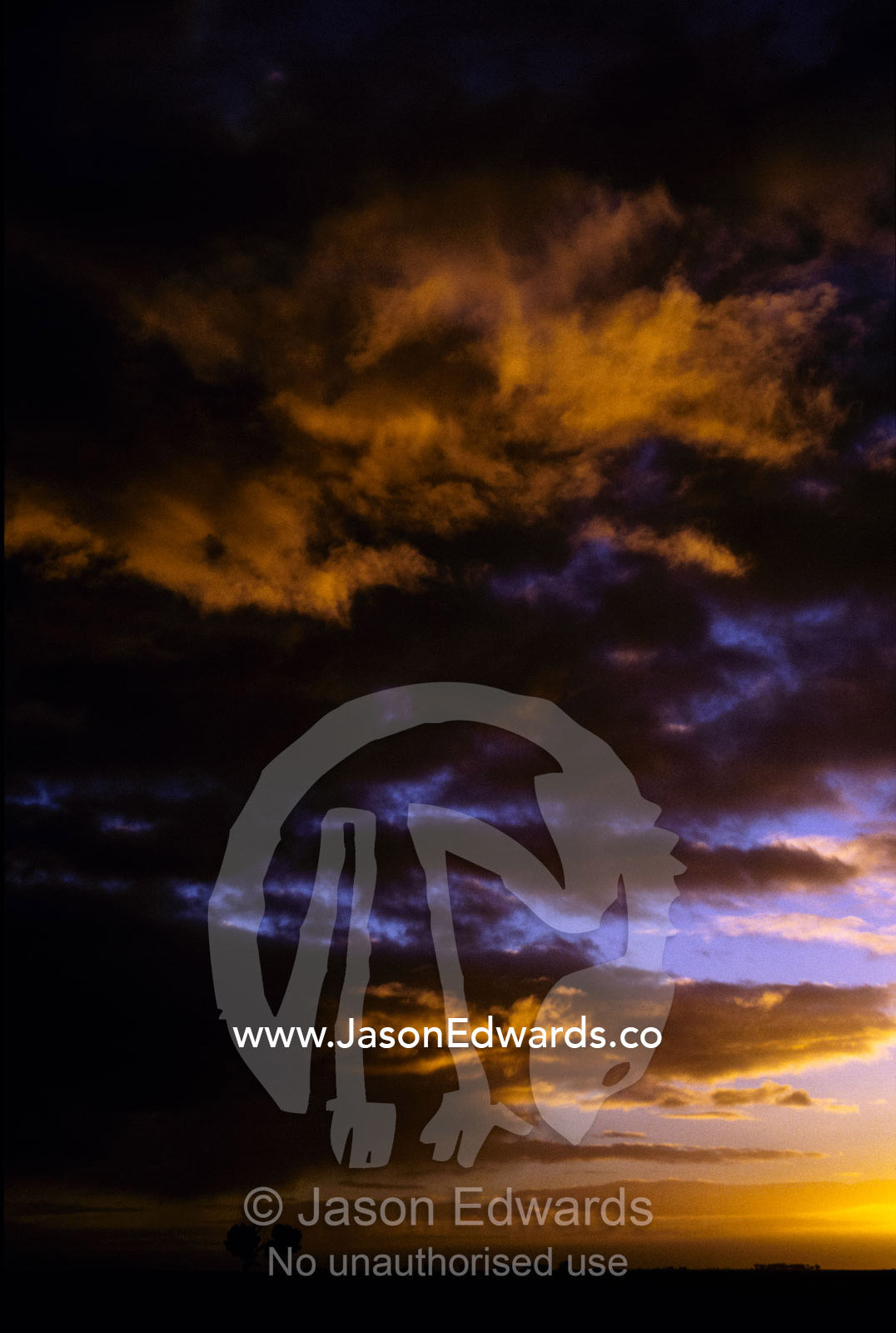 Orange cloud formations at sunset over a field and single tree. North-Western Victoria, Australia.