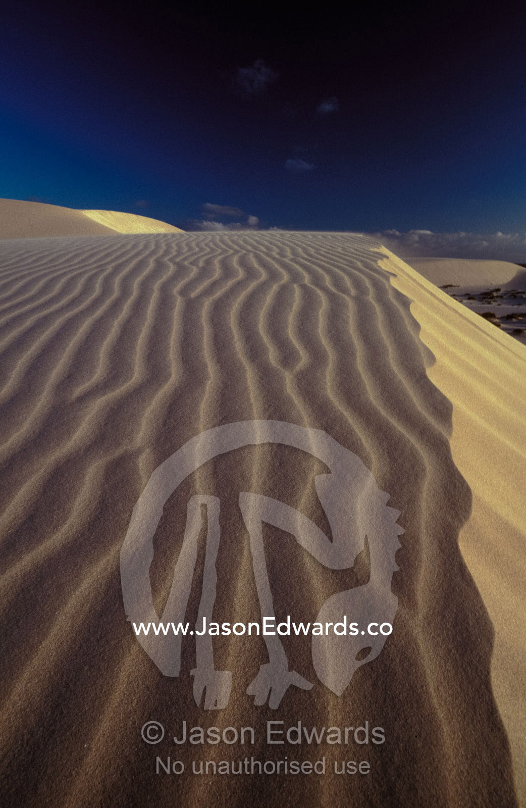 Wind blown sand ripples across a golden sand dune crest at sunset. Eucla, Western Australia.