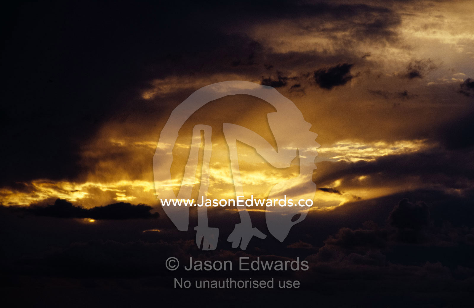 Spectacular thunderstorm clouds in a golden sunset over teh outback. Carnarvon National Park, Queensland, Australia.