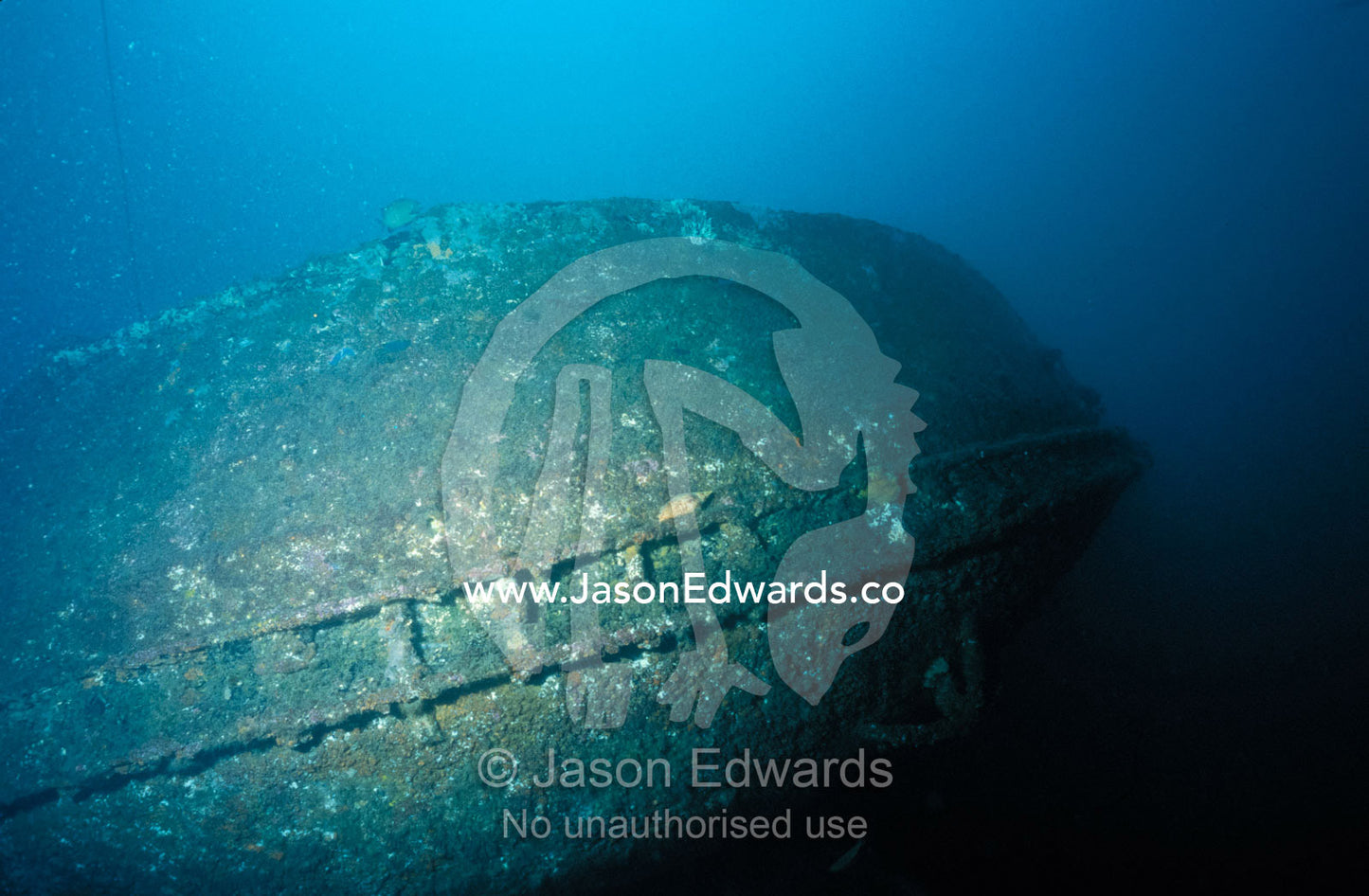 The shipwrecked bow of the Tasman Hauler rests on the ocean floor. Twofold Bay, Eden, New South Wales, Australia.