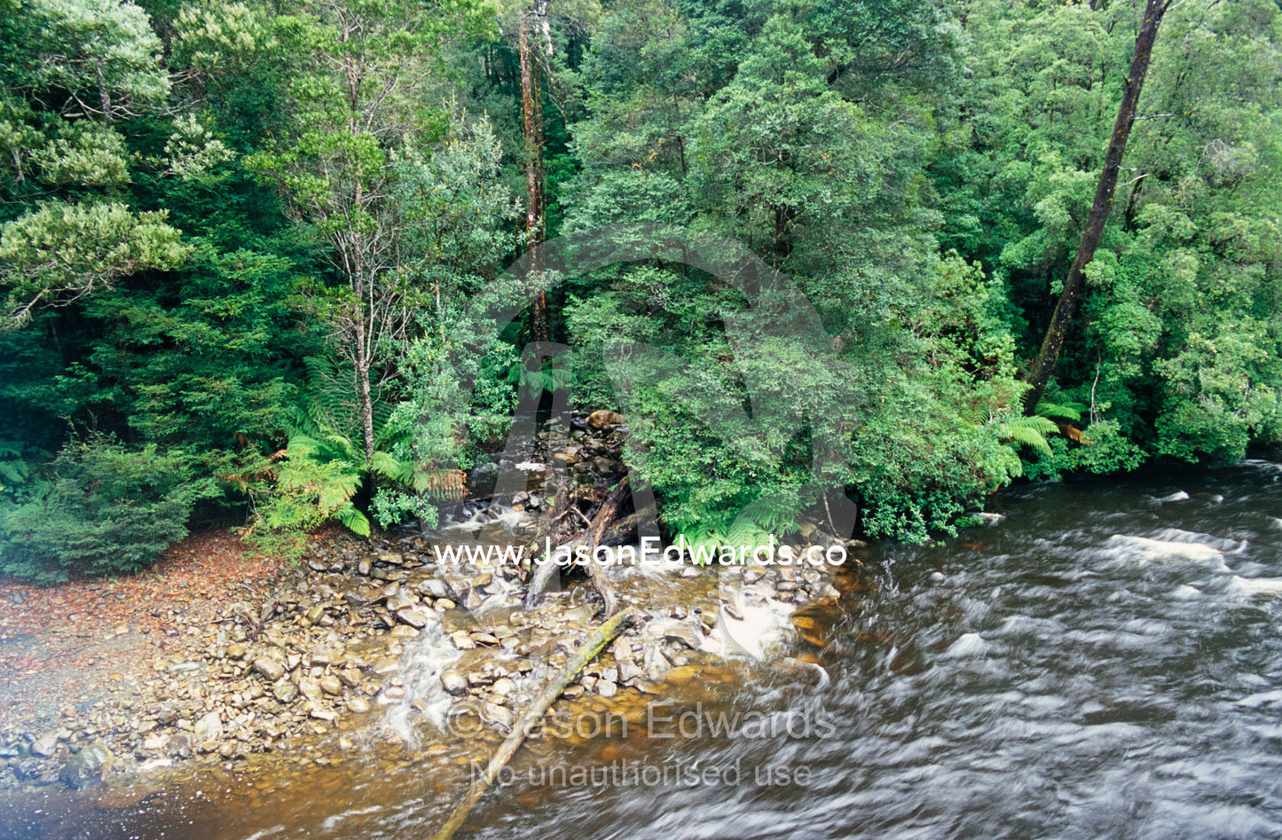 The Hellyer River moving swiftly through a cool temperate rainforest. Hellyer Gorge State Reserve, Tasmania, Australia.