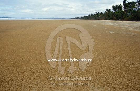 Sand balls created by Crabs feeding on a beach at low tide. Mission Beach, Queensland, Australia.
