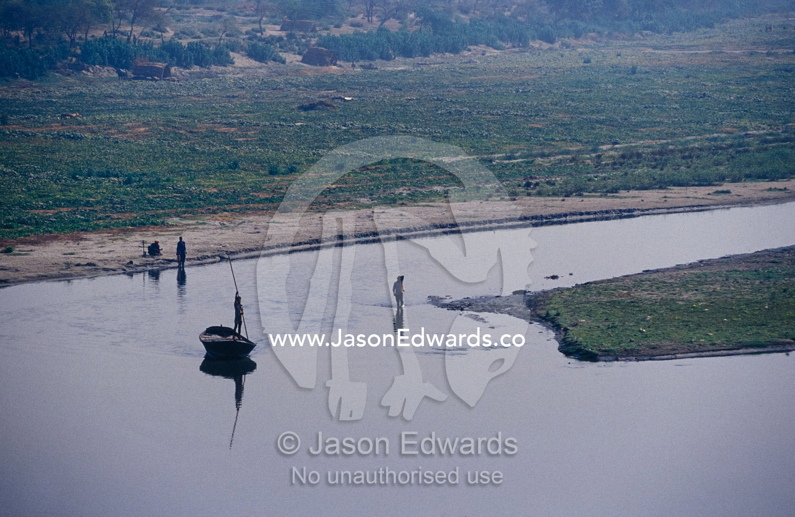 A Boatman poles his way up the Yamuna River floodplain past crops. Agra, India.