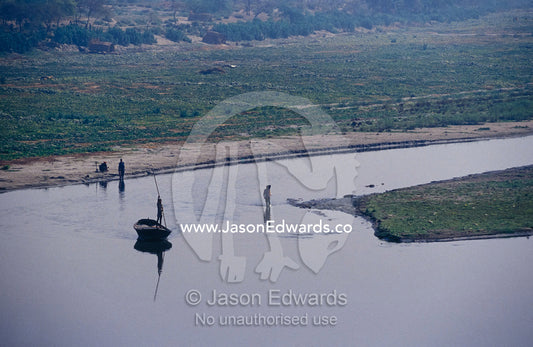 A Boatman poles his way up the Yamuna River floodplain past crops. Agra, India.