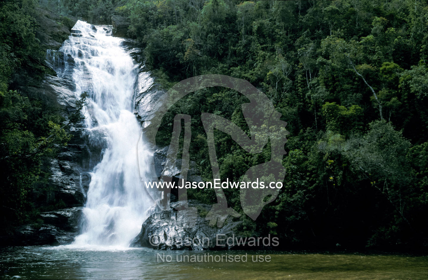 A pristine waterfall cascades through a Mata Atlantica coastal forest. Parque Nacional da Serra da Bocaina, Brasil.