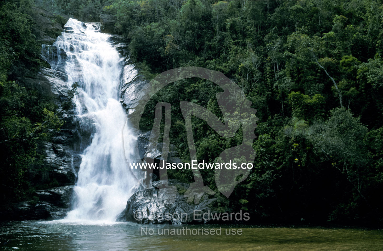 A pristine waterfall cascades through a Mata Atlantica coastal forest. Parque Nacional da Serra da Bocaina, Brasil.