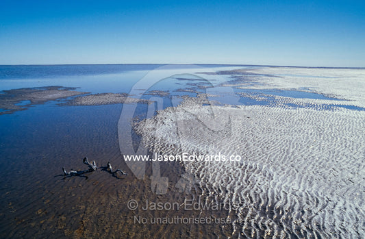 Flooded desert Salt Lake and crystallised salt crust on the shoreline. Lake Eyre South National Park, South Australia.