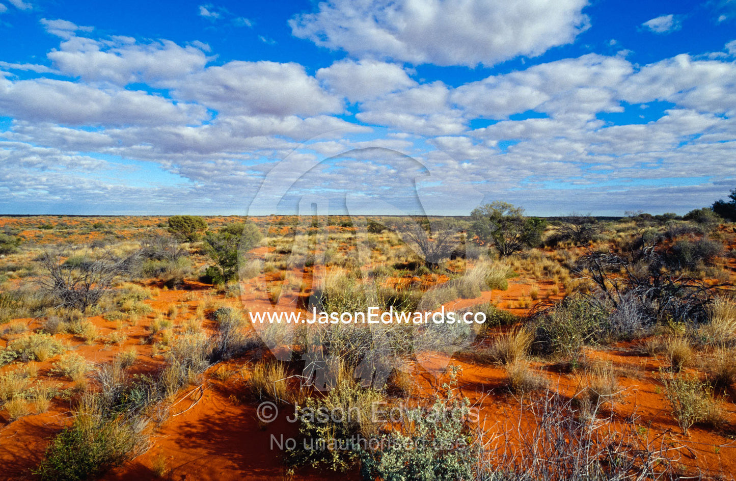 Fluffy cloud formations over a vast desert scrub plain between dunes. Simpson Desert Conservation Park, South Australia.