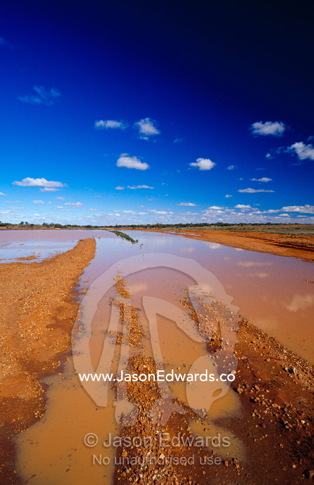 An isolated impassable desert track following a rare flood. Witjira National Park, South Australia.