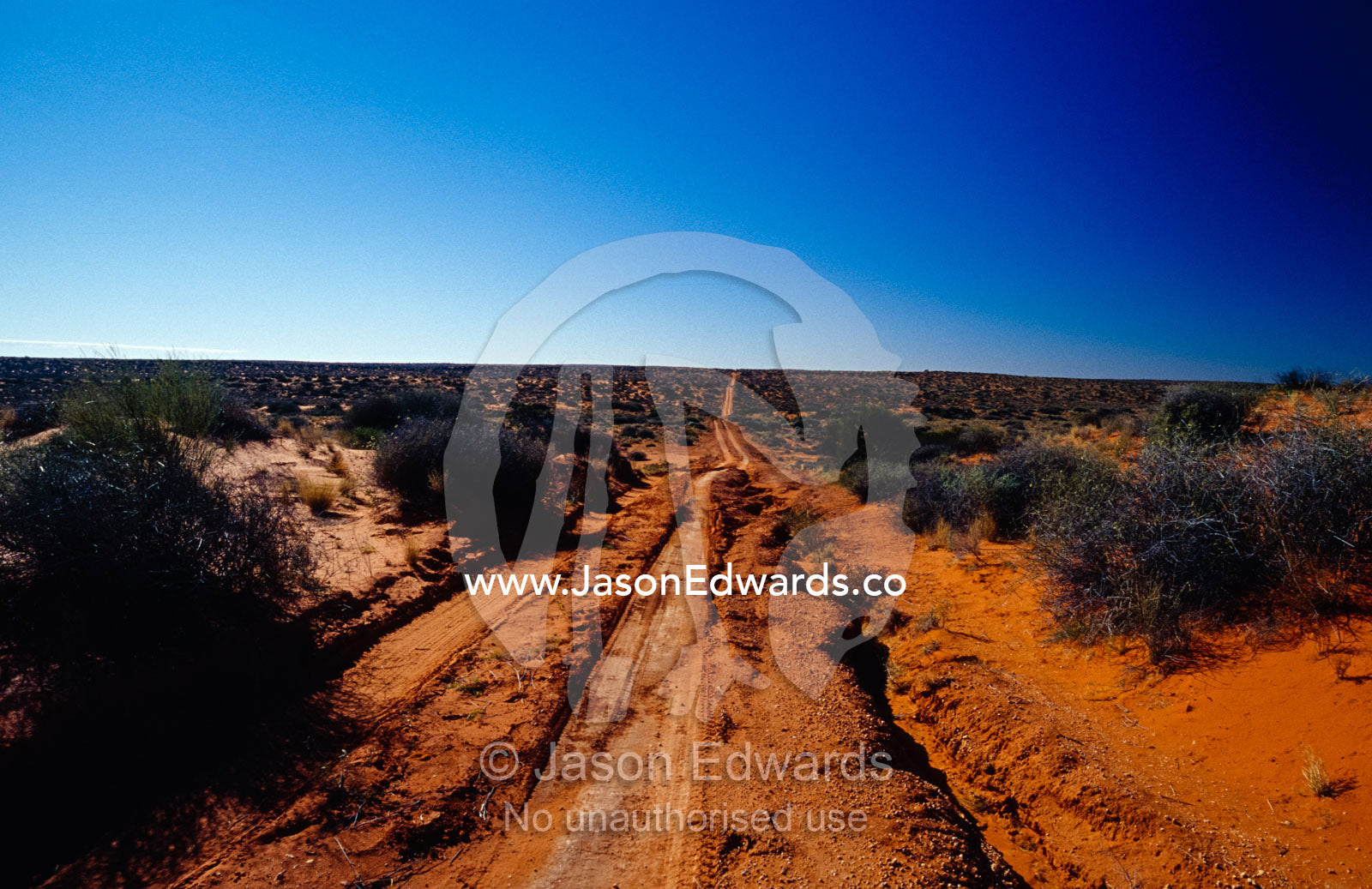 A rough desert Sports Utility Vehicle track through remote sand dunes. Simpson Desert Regional Reserve, South Australia.