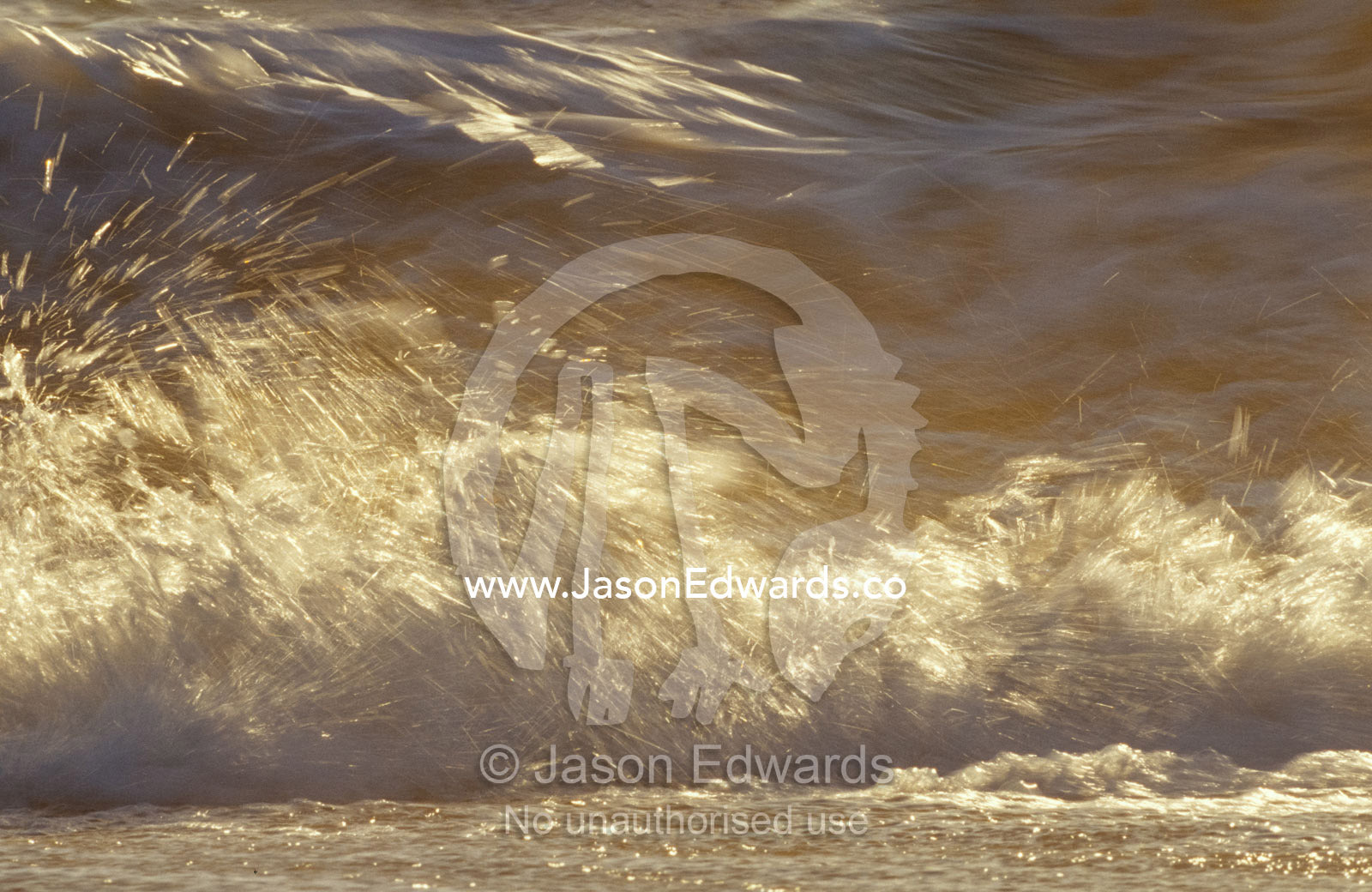 Waves breaking onto a beach turn golden at sunset. Coorong National Park, Younghusband Penninsula, South Australia.