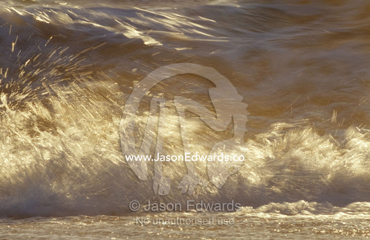 Waves breaking onto a beach turn golden at sunset. Coorong National Park, Younghusband Penninsula, South Australia.