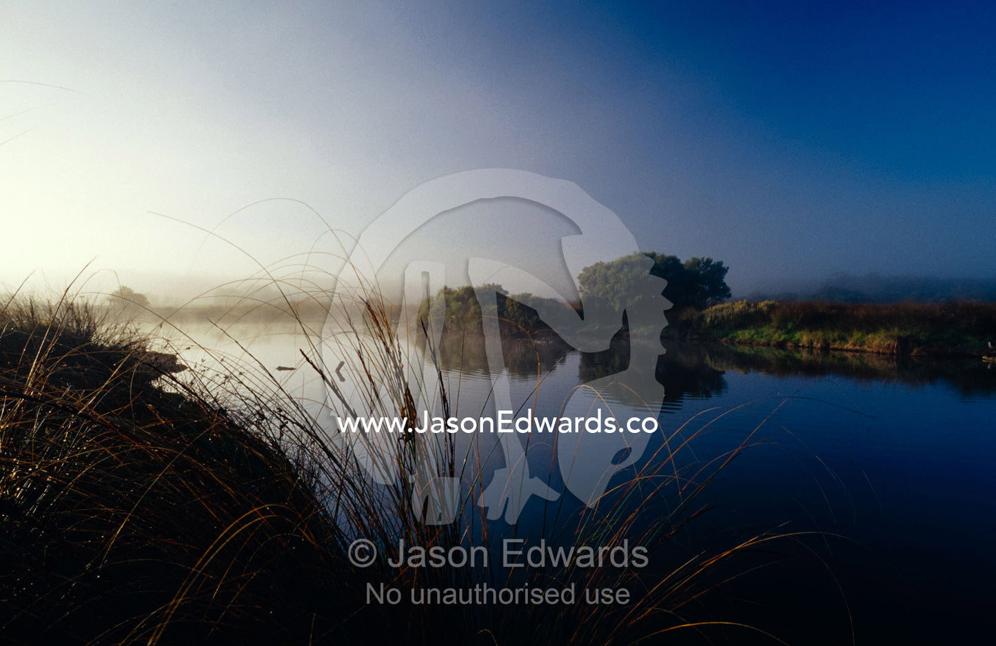 Reeds and Rushes in a misty, still lagoon at dawn. Coorong National Park, South Australia.