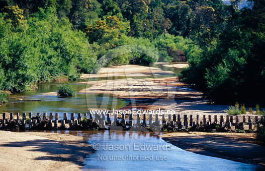 A forest lined low flowing river during a drought between sand banks. Cann River, Victoria, Australia.