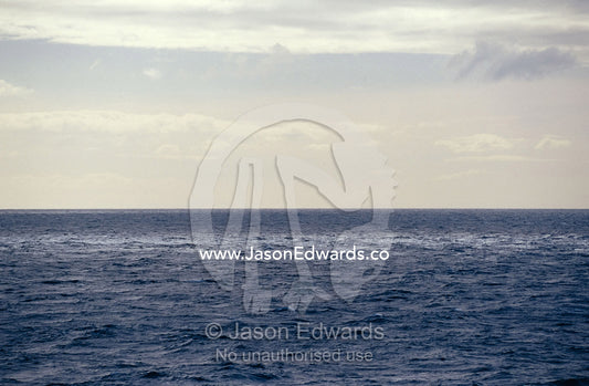 A calm, vast ocean in dappled shadow and light. Bass Strait, Victoria, Australia.