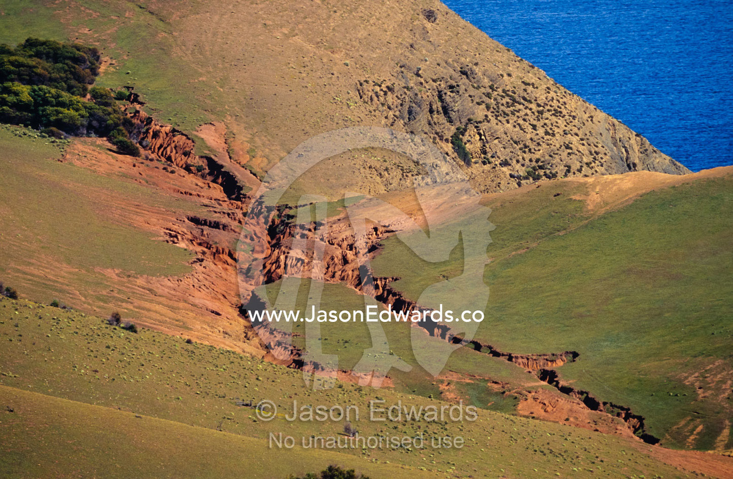 Hillside erosion caused by run off from cleared farmland. Hummocky, Kangaroo Island, South Australia.