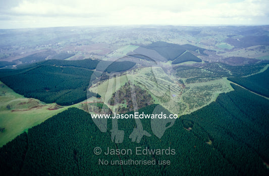 An aerial view of Pine tree plantations and farmland. North East of Adelaide, South Australia.