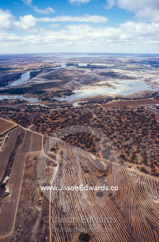 Murray River wetland and wineries surrounded by farmland. Banrock Station Winery, Kingston on Murray, South Australia.