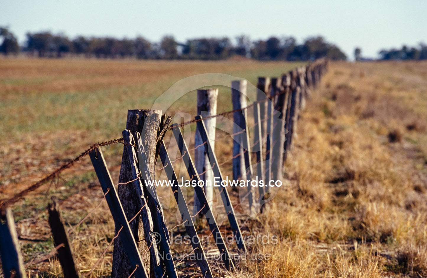 A falling down farm fence during drought eludes to hardship. New South Wales, near Deniliquin, Australia.