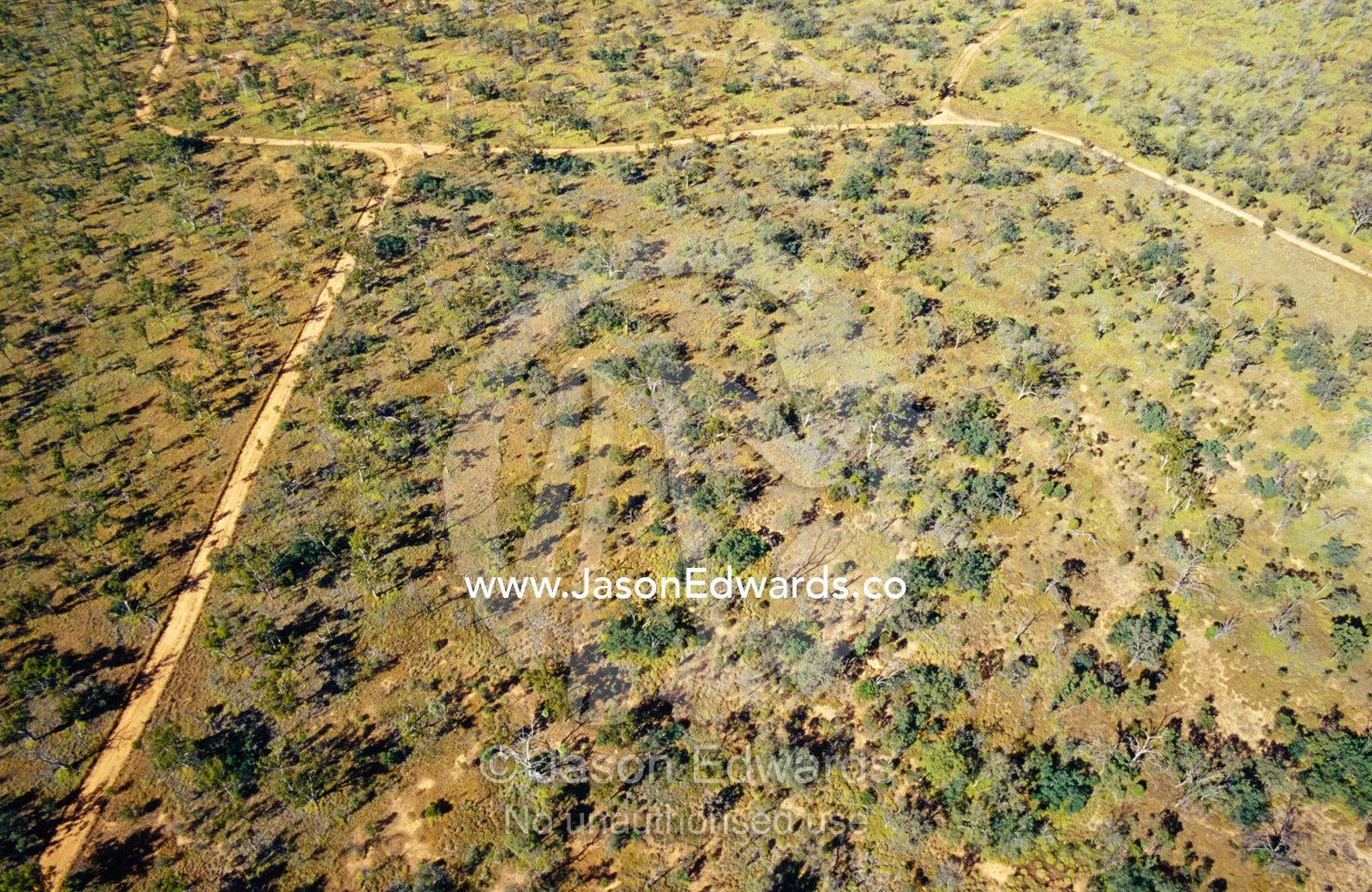 An aerial view of National Park habitat and vehicle access tracks. Epping National Park, Scientific, Queensland, Australia.