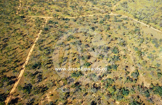 An aerial view of National Park habitat and vehicle access tracks. Epping National Park, Scientific, Queensland, Australia.