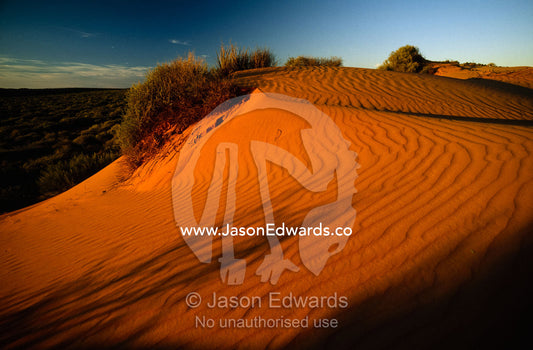 Red coastal sand dune patterns at sunset in the outback. Francois Peron National Park, Western Australia.