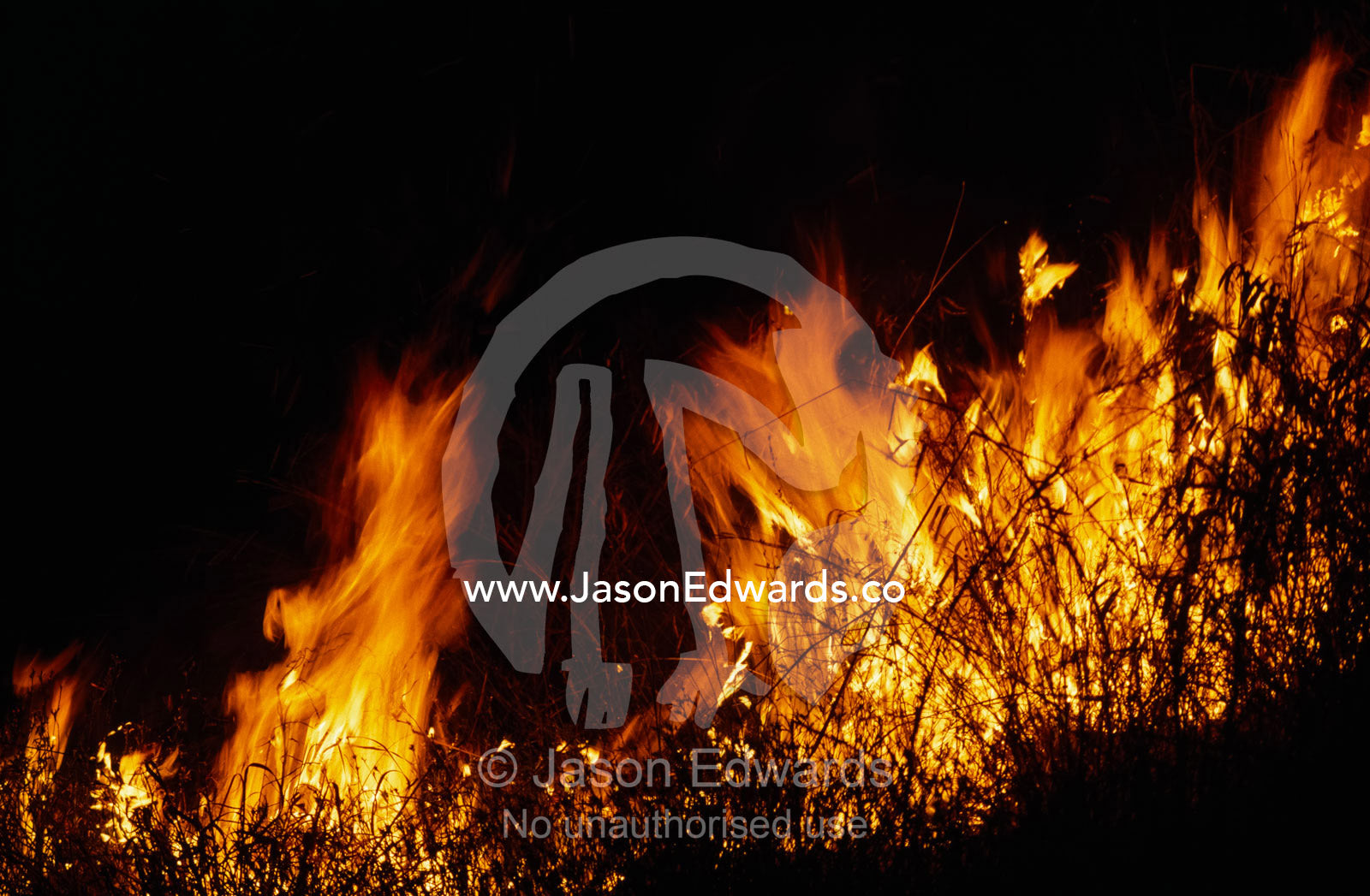 A scrub fire rips through grass during an intense dry season. Kimberley Ranges, Karijini National Park, Western Australia.