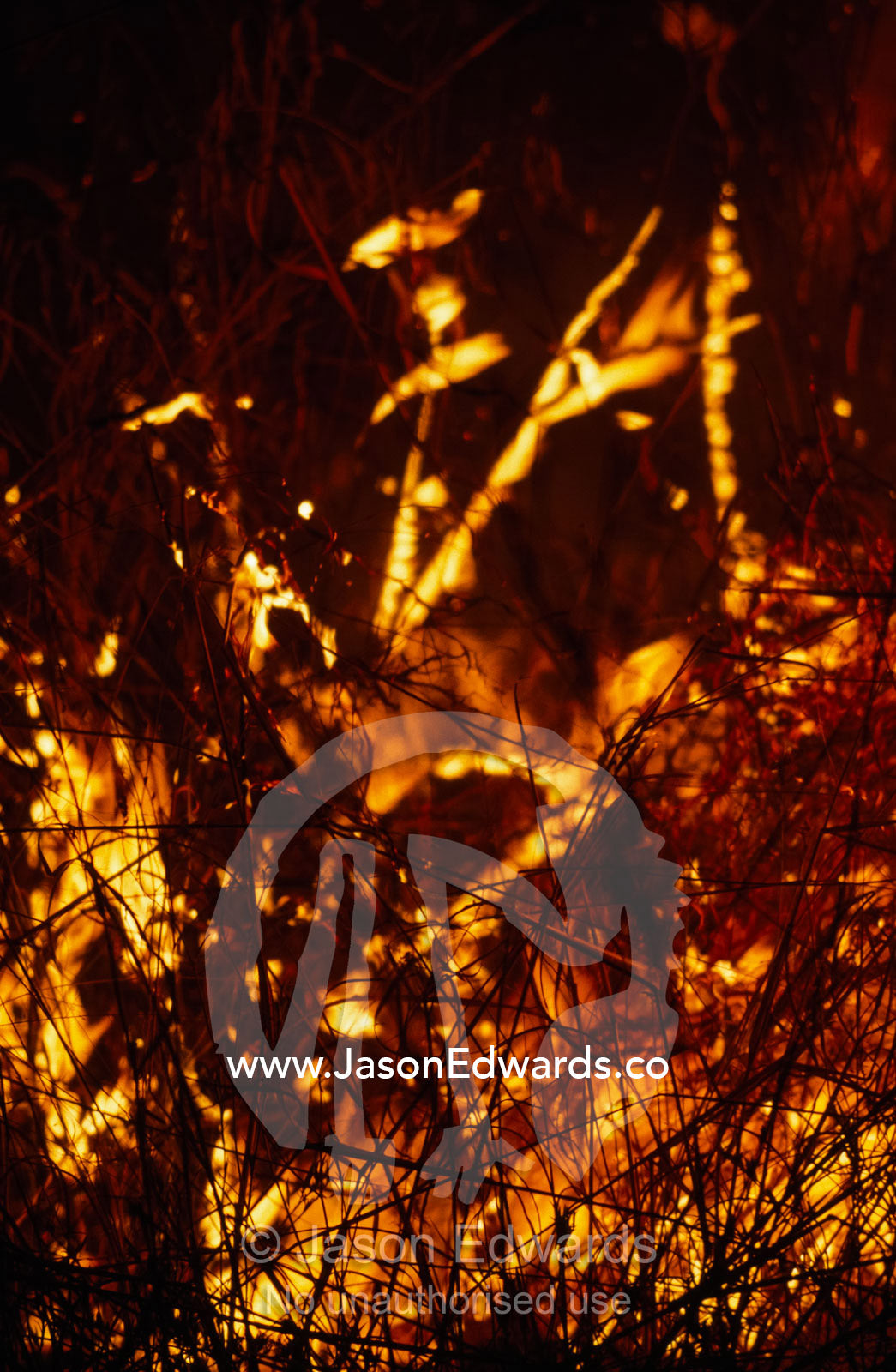 A scrub fire rips through grass during an intense dry season. Kimberley Ranges, Karijini National Park, Western Australia.