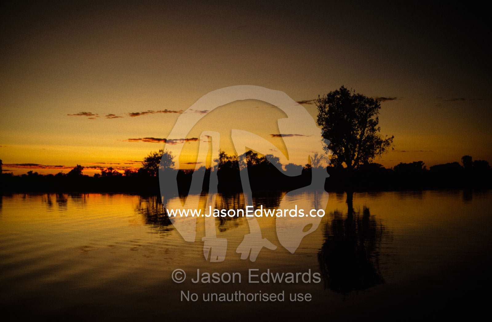 Silhouetted trees and the tranquil Yellow Waters billabong at dawn. Kakadu National Park, Northern Territory, Australia.