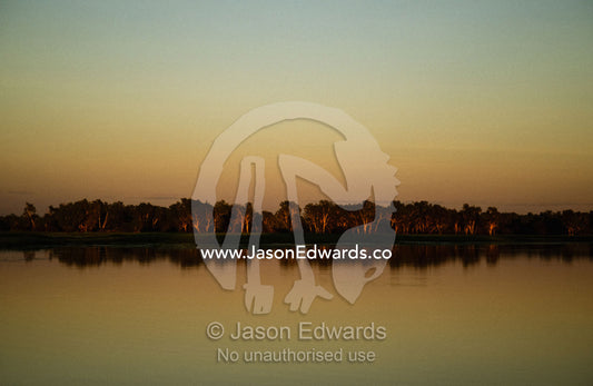 A flooded forest at the edge of a swamp in the afterglow of sunset. Kakadu National Park, Northern Territory Australia.