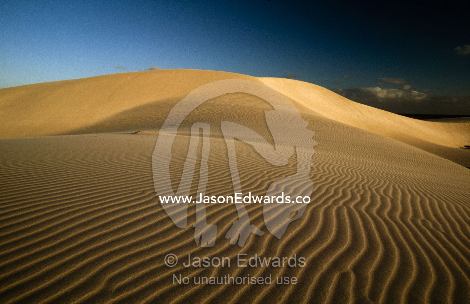 Wind blown sand patterns on a remote coastal dune. Eucla, Western Australia.