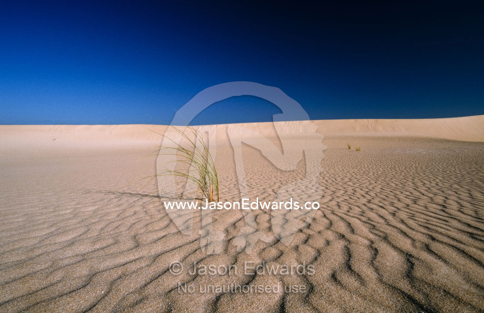 Wind formed sand patterns in vast dunes with desert grasses. Little Sahara, Kangaroo Island, South Australia.