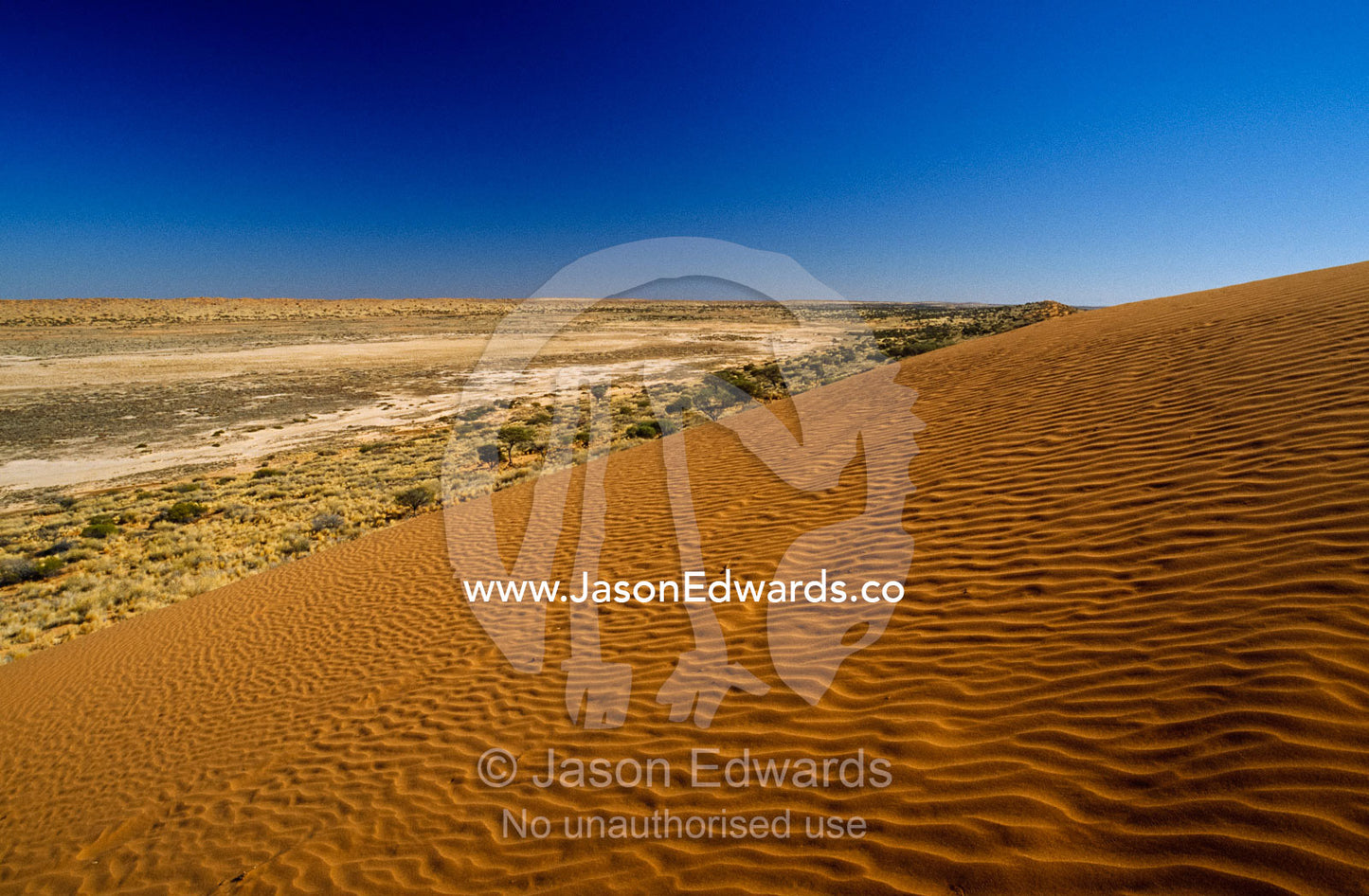 A big blue sky and wind patterns in red sand dunes on a scorching day. Simpson Desert Conservation Park, South Australia.