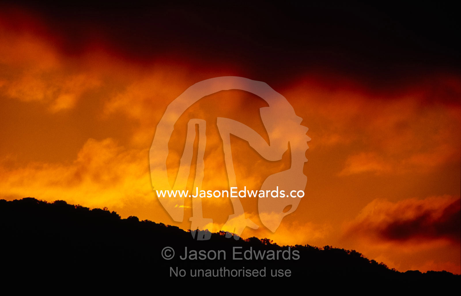 A fiery orange storm cloud formation over dune scrub. Coorong National Park, Younghusband Penninsula, South Australia.