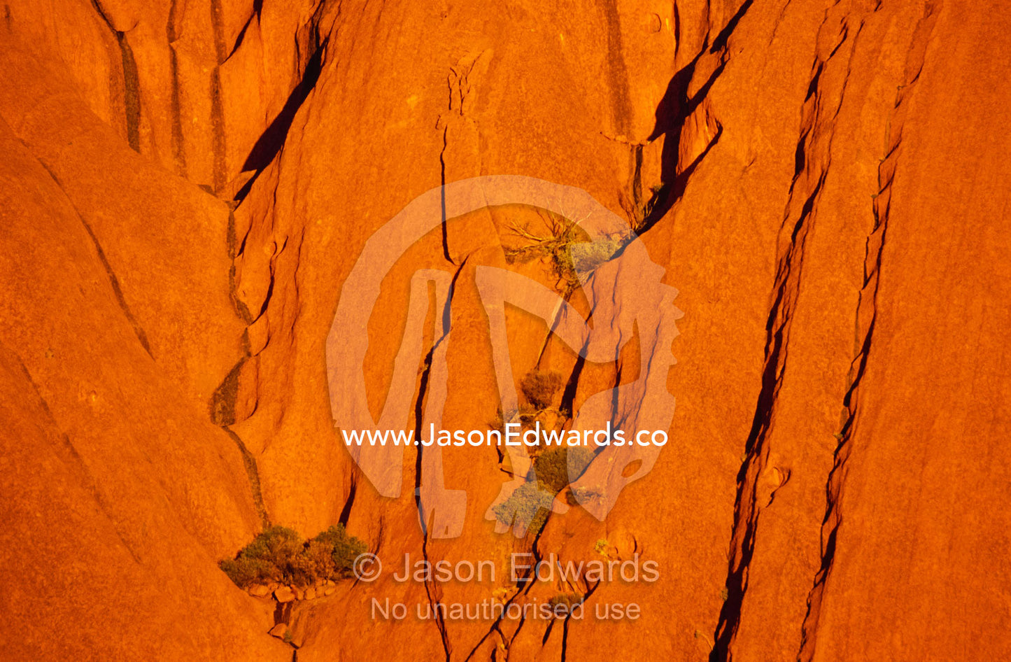 Sunset falls across rusty waves of sandstone on the Uluru formation. Uluru/Kata Tjuta National Park, Northern Territory, Australia.