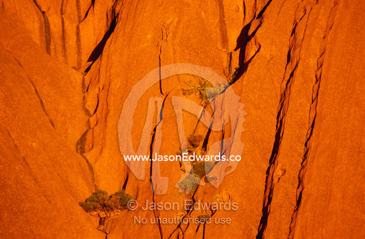 Sunset falls across rusty waves of sandstone on the Uluru formation. Uluru/Kata Tjuta National Park, Northern Territory, Australia.