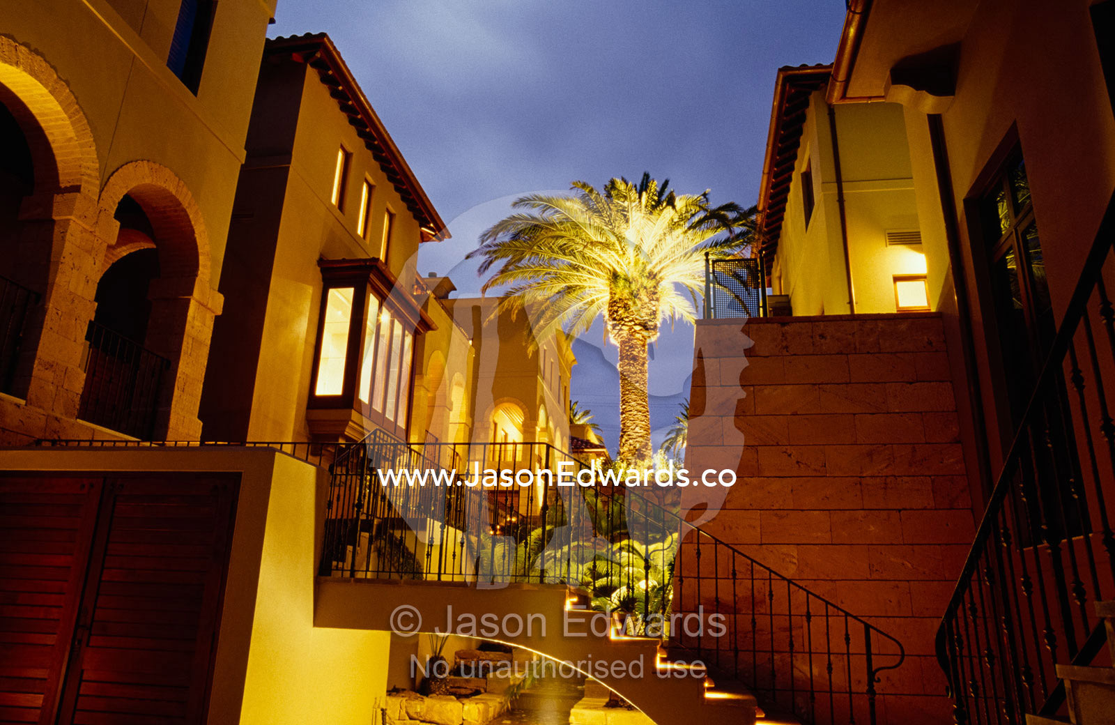A palm tree and an apartment complex lit up at night. Toorak, Victoria, Australia.