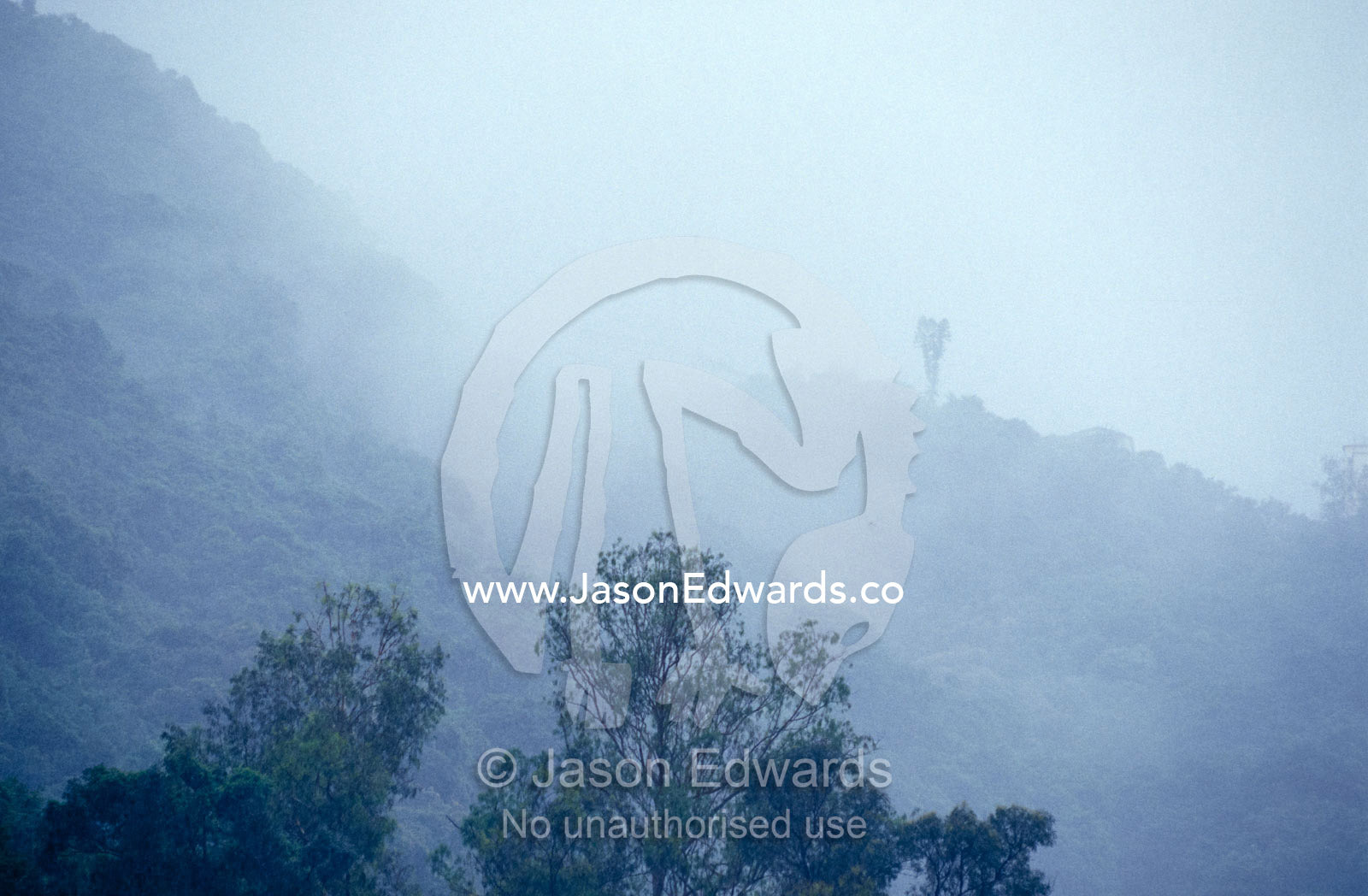 A rainstorm descends on a forested hillside overlooking Hong Kong. Hong Kong Island, Hong Kong.