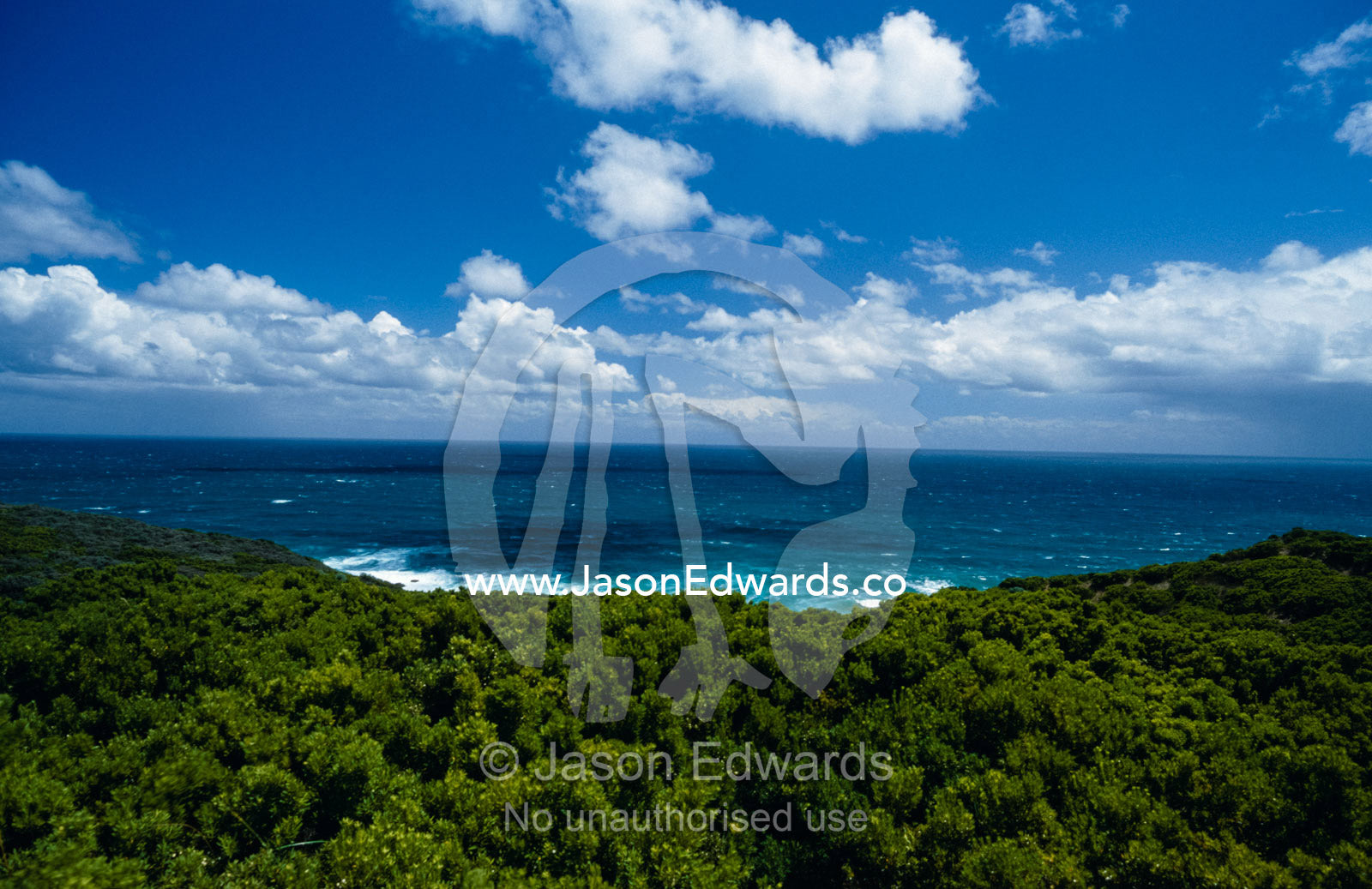 Green coastal heath overlooks the turquoise seas of the Southern Ocean Cape Otway National Park, Victoria,  Australia.
