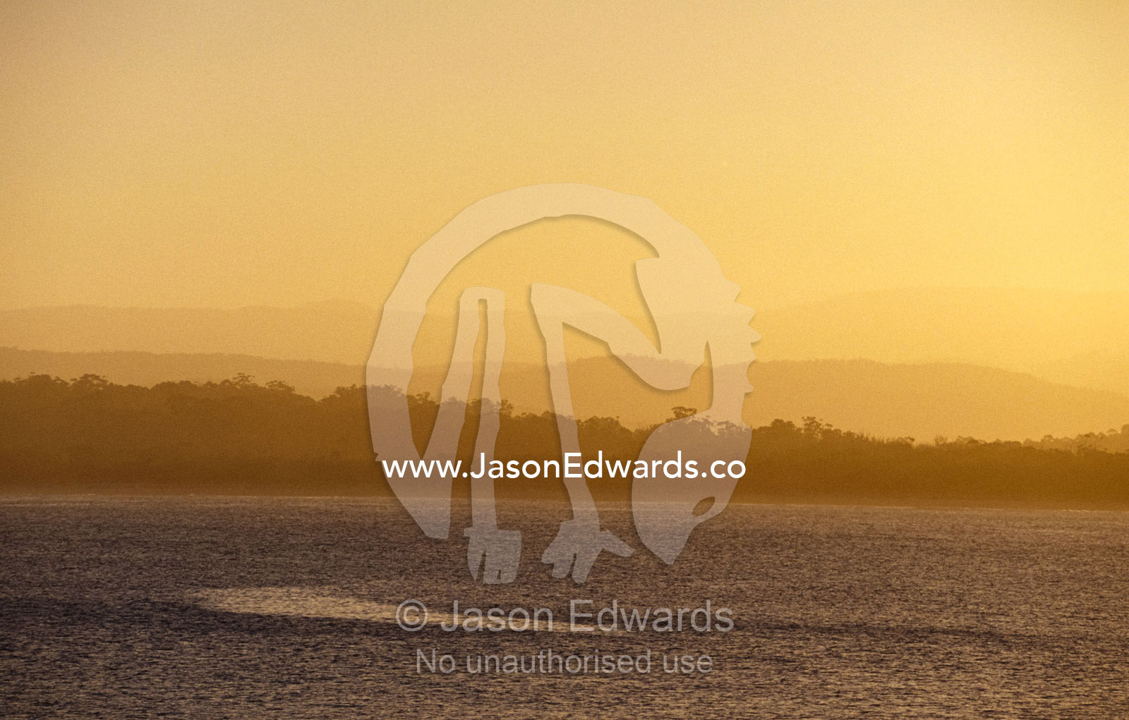 Sunset descends over a coastal forest and tranquil ocean bay. Merimbula, New South Wales, Australia.