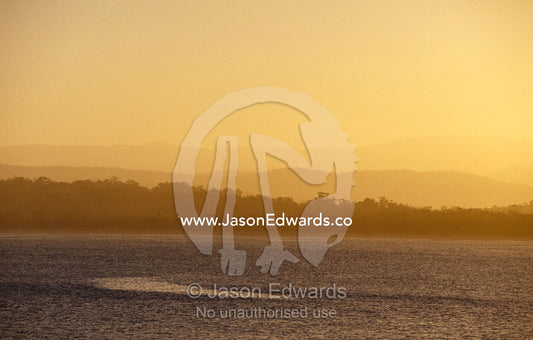 Sunset descends over a coastal forest and tranquil ocean bay. Merimbula, New South Wales, Australia.