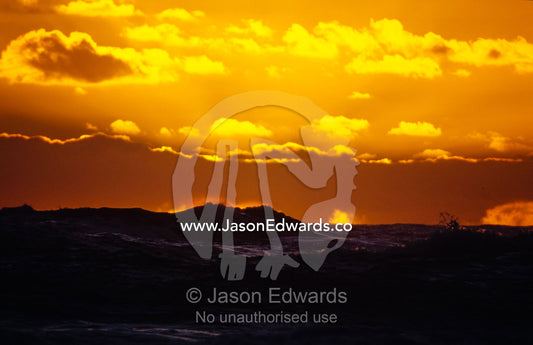 Sunset falls over a raging sea and waves on a rugged coastline. South West Conservation Area Tasmania, Australia.