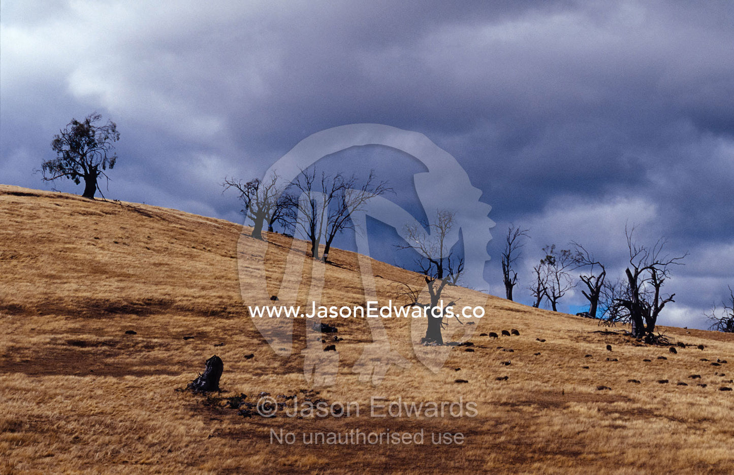 Farmland destroyed by drought, over grazing and erosion. Central Tasmania, Australia